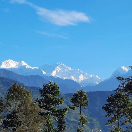 Red Panda Jungle Camp - A Unit Of Davinchi Homes Pvt Ltd Gyalshing Zewnętrze zdjęcie